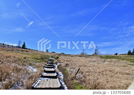 美ヶ原高原の牛伏山へ続く木道 美ヶ原高原の牛伏山へ続く木道 133705680
