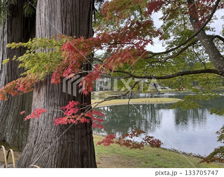 毛越寺庭園 133705747