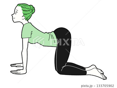 牛のポーズをする女性の線画イラスト 緑と黒の配色 牛のポーズをする女性の線画イラスト 緑と黒の配色 133705902
