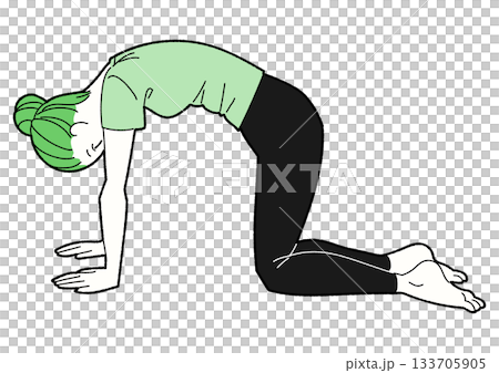猫のポーズをする女性の線画イラスト 緑と黒の配色 133705905