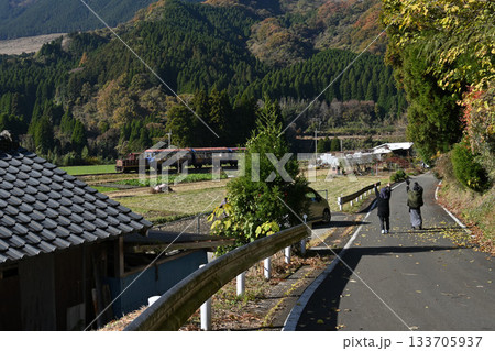 南阿蘇鉄道ゆうすけ号トロッコ列車 133705937