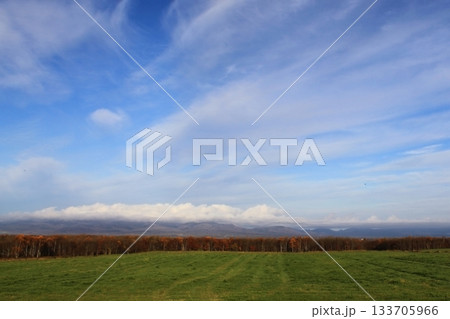 北海道中標津町の牧草地 133705966