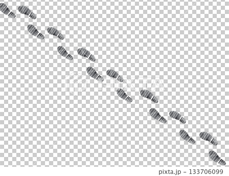 Diagonal footprints illustration Diagonal footprints illustration 133706099