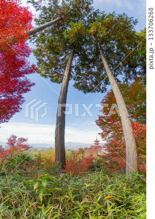 清水寺 三重塔 清水寺 三重塔 133706268