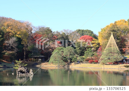 秋の六義園　 133706525