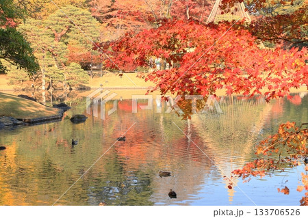 秋の六義園　 133706526
