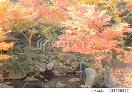 秋の六義園　滝見茶屋 133706527