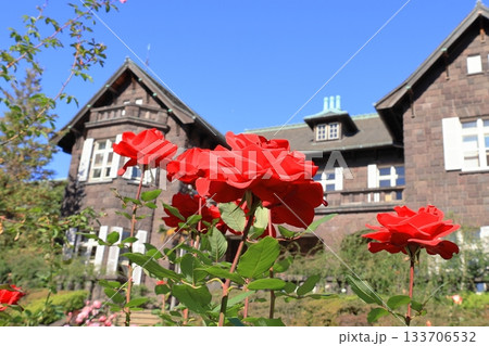 旧古河庭園と薔薇 旧古河庭園と薔薇 133706532