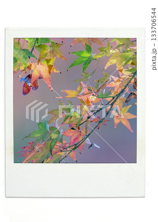 紅葉 ポラ風 紅葉 ポラ風 133706544