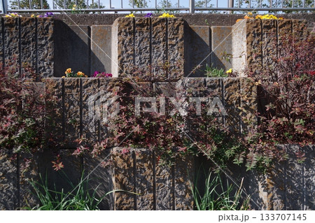 段々ブロックガーデン4 133707145