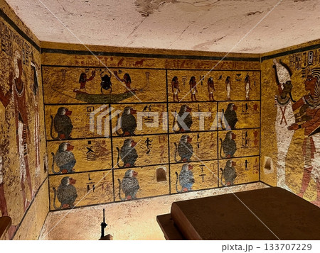 ツタンカーメンの墓 133707229