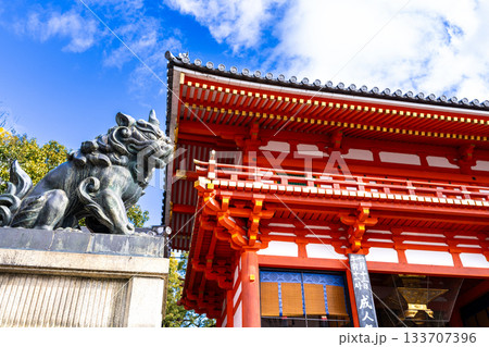 冬晴れの八坂神社 吽形の狛犬と西楼門 京都府京都市東山区 冬晴れの八坂神社 吽形の狛犬と西楼門 京都府京都市東山区 133707396
