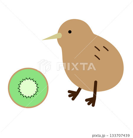 キーウィとキウイフルーツのイラストセット キーウィとキウイフルーツのイラストセット 133707439