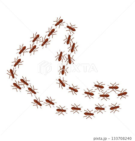 Ants are crawling forming a question mark shape 133708240