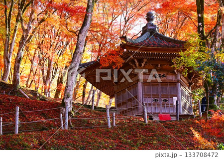 香嵐渓の太子堂と紅葉の絶景の秋景色 133708472
