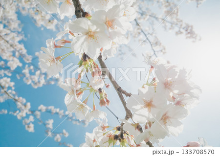 various 133708570