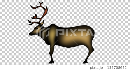 reindeer reindeer 133708652