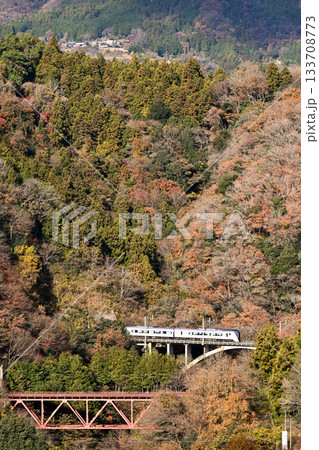 紅葉の中央本線を走る電車 紅葉の中央本線を走る電車 133708773