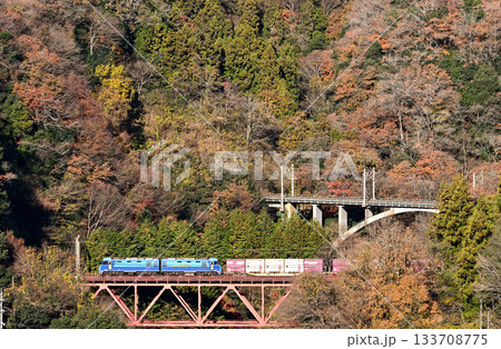 紅葉の中央本線を走る貨物列車 133708775