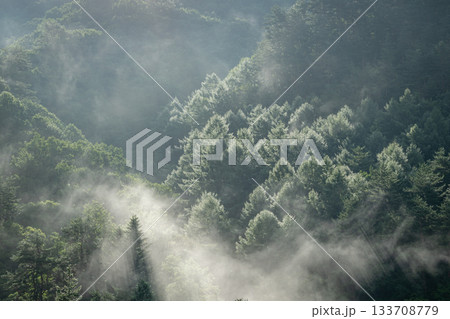 朝霧に包まれる中之条町の山林に差し込む光（群馬県） 133708779