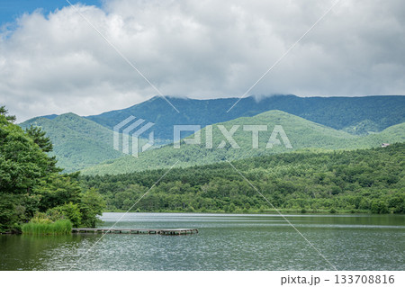 嬬恋村バラギ湖と緑豊かな山々が広がる夏の静かな風景 嬬恋村バラギ湖と緑豊かな山々が広がる夏の静かな風景 133708816