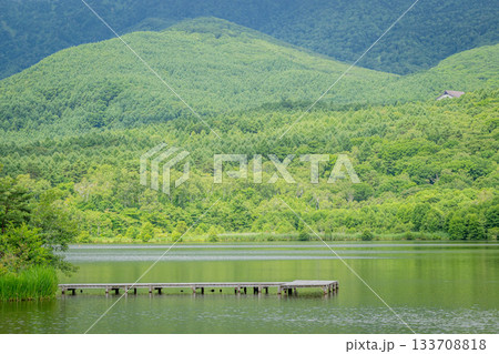 嬬恋村バラギ湖と夏の緑が広がる静かな湖畔風景 嬬恋村バラギ湖と夏の緑が広がる静かな湖畔風景 133708818