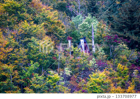 奥只見湖 133708977