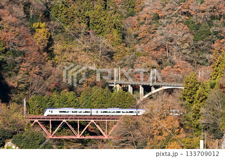 紅葉の中央本線を走る電車 133709012