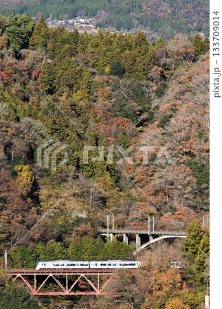 紅葉の中央本線を走る電車 紅葉の中央本線を走る電車 133709014