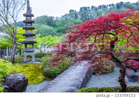日本庭園 日本庭園 133709153