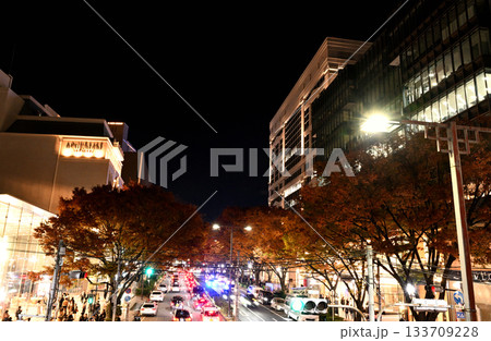 紅葉の表参道の風景 133709228