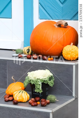 Autumn Porch Decoration with Pumpkins, Gourds, and Flower Pot 133709338
