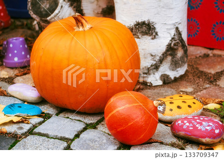 Autumn pumpkins and colorful painted stones on cobblestone surface 133709347