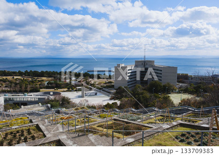 [淡路夢舞台]きれいな花々が咲き誇る百段苑の風景 133709383