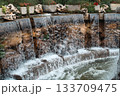 Multi-tiered stone waterfall with plants and flowers 133709475
