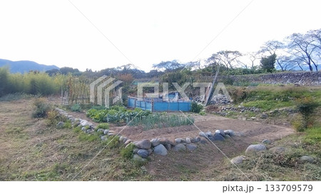 河原にある家庭菜園の風景 133709579