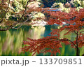 丹沢湖の紅葉 133709851