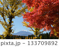 山中湖紅葉 133709892