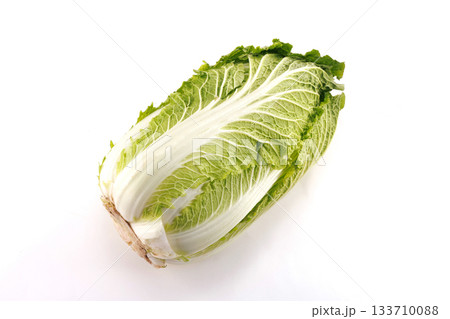 新鮮な白菜 新鮮な白菜 133710088