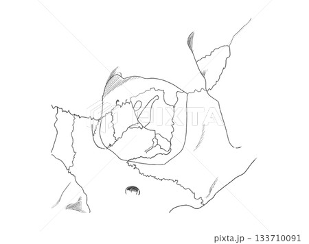 眼窩 Orbital surface 眼窩 Orbital surface 133710091
