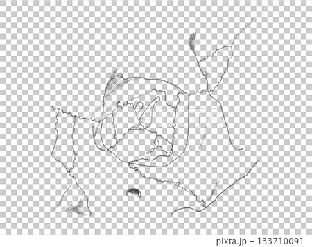 眼窩 Orbital surface 眼窩 Orbital surface 133710091