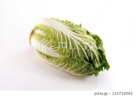 新鮮な白菜 新鮮な白菜 133710093