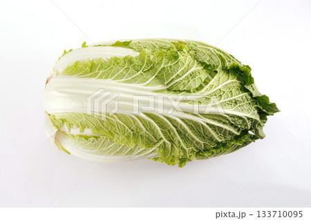 新鮮な白菜 新鮮な白菜 133710095