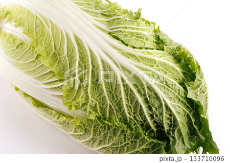 新鮮な白菜 新鮮な白菜 133710096