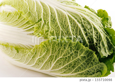 新鮮な白菜 新鮮な白菜 133710098