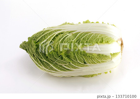 新鮮な白菜 新鮮な白菜 133710100