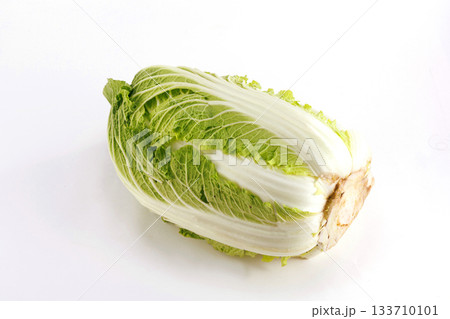 新鮮な白菜 133710101
