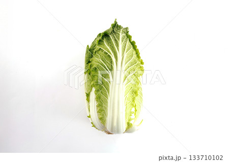 新鮮な白菜 新鮮な白菜 133710102