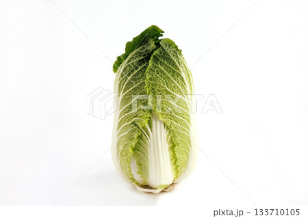 新鮮な白菜 133710105