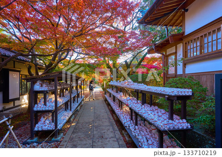 東京都世田谷区の豪徳寺(ごうとくじ)の招き猫(招福猫児の奉納所)と紅葉 133710219
